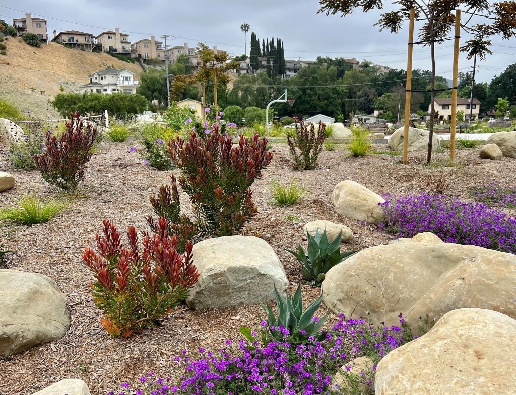 California-friendly landscaping.