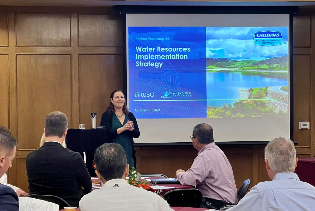 Calleguas General Manager Kristine McCaffrey presenting to a group of stakeholders.